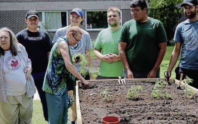 Community Garden Beds Celebrated